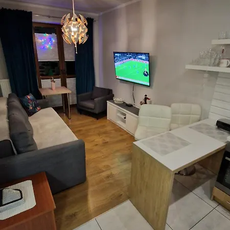 Apartament Gwiazda Przy Stoku Na Parterze Z Ogrodkiem Krynica Zdroj Exterior photo