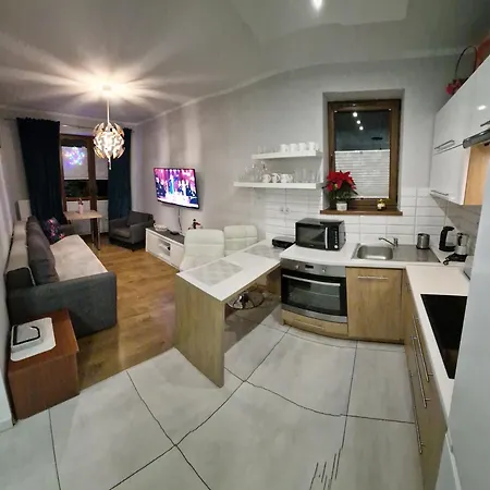 Apartament Gwiazda Przy Stoku Na Parterze Z Ogrodkiem Krynica Zdroj Exterior photo