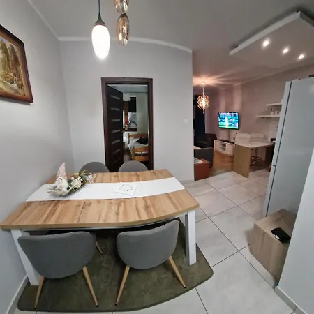 Apartament Gwiazda Przy Stoku Na Parterze Z Ogrodkiem Krynica Zdroj Exterior photo