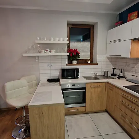Apartament Gwiazda Przy Stoku Na Parterze Z Ogrodkiem Krynica Zdroj Exterior photo